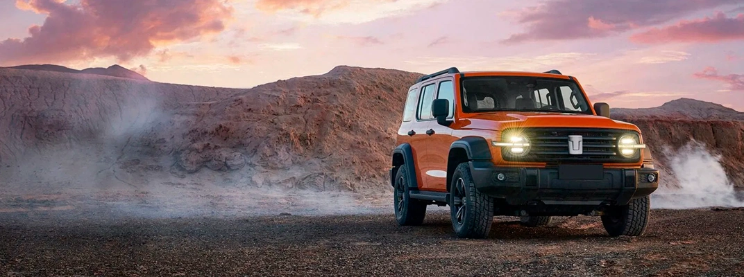 Купить Tank в Казани